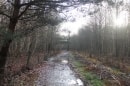 bois de Chavençon
